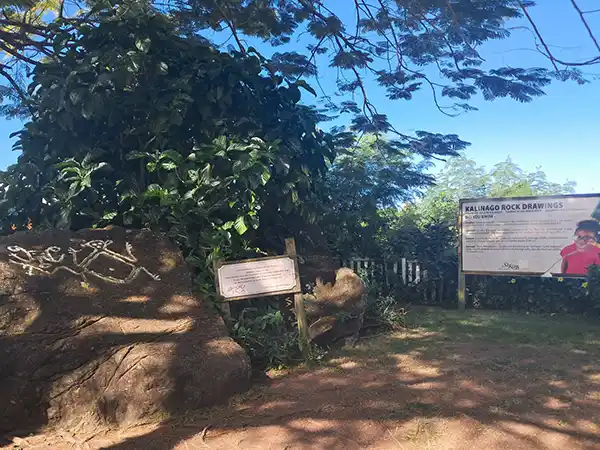 Petroglyphs St Kitts