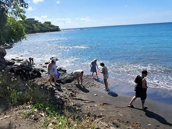 Seaglass Beach St Kitts
