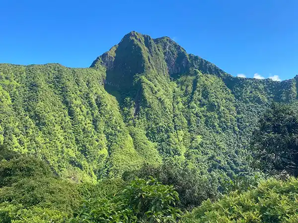 Mt Liamuiga Volcano St Kitts
