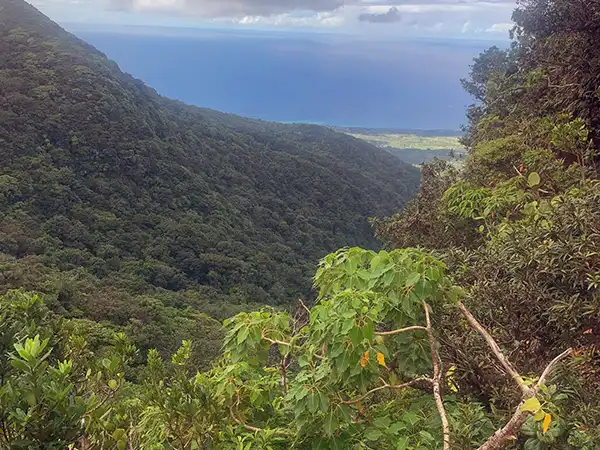 Volcano Views St Kitts